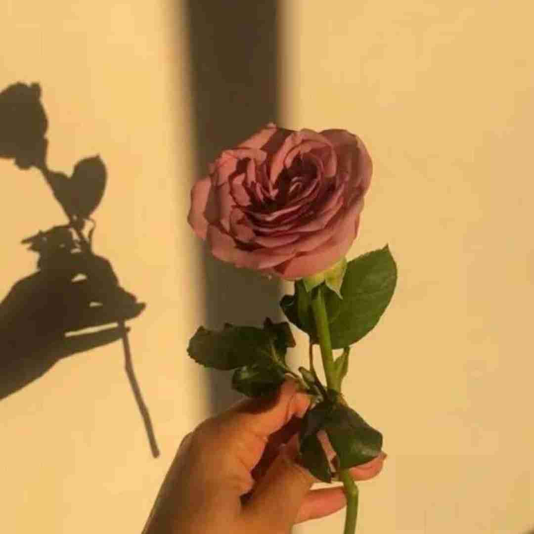 بزار بگم یکم از قدیم حال میداد با تو حتی نون پنیر