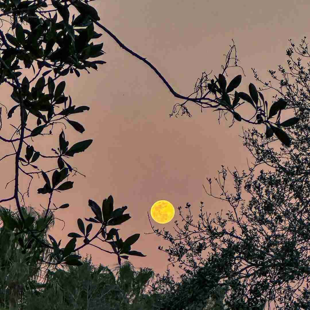  تن تو ظهر تابستونو به یادم میاره با صدای دختر