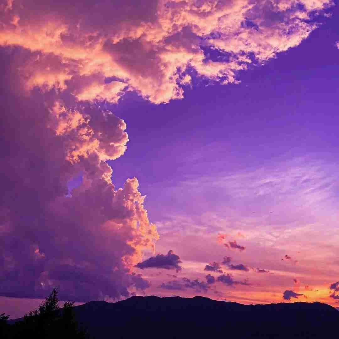  من زیر سوزن خوابیدم از دست یسری تو زرد (میکس اینستایی)