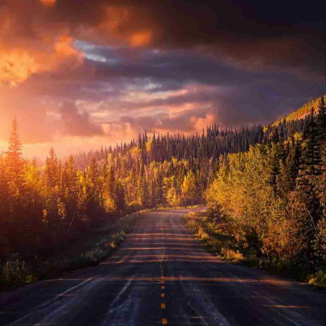  دخترا همشون شبیه همن نکنی اعتماد اونا از غریبه