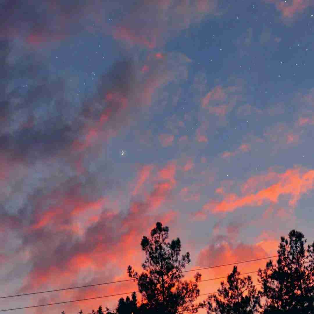 خوشگل ترین دختری که دیدم بحث تو با همه (ترند اینستایی)