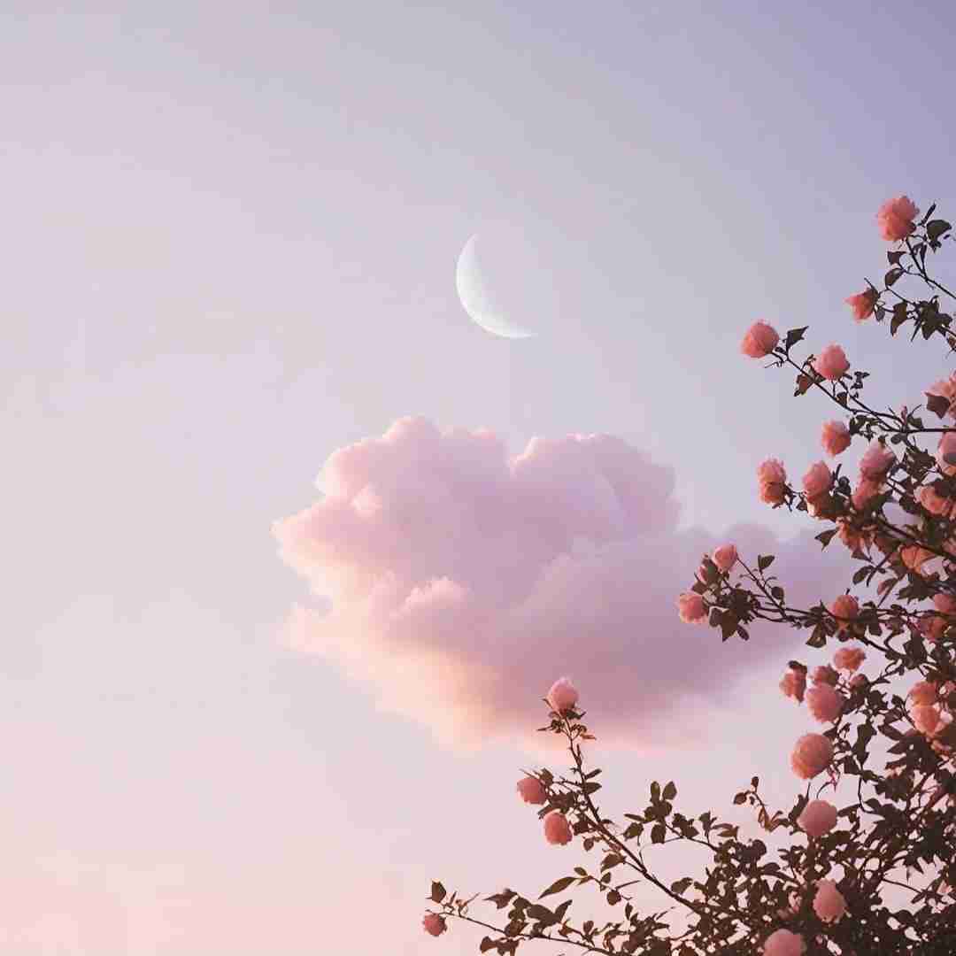 ولی پر شده از موی سفید سرم قد ده سال از همه پیرترم
