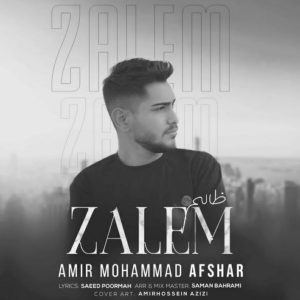 دانلود آهنگ جدید ظالم از امیرمحمد افشار