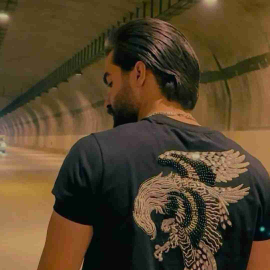 حمیدرضا بابایی پر پر بی گل باغ رنگین
