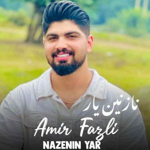 دانلود آهنگ جدید نازنین یار از امیر فضلی