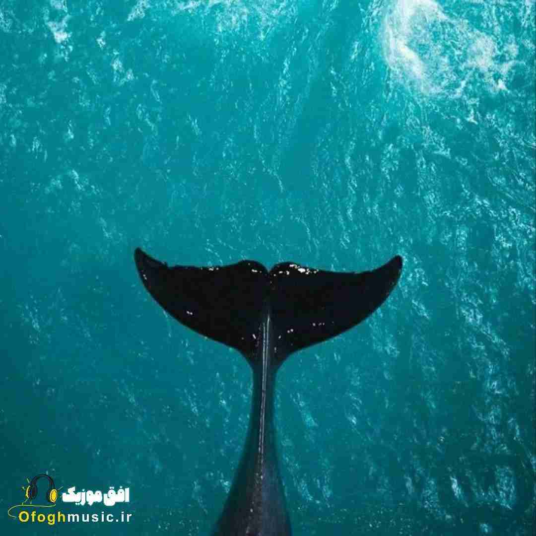  ولی بعد من هیشکی دیگه واسه تو من نمیشه