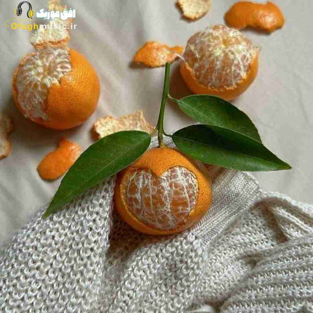 دلت تنگه واسه قبلا میگی بسه باشه برگرد
