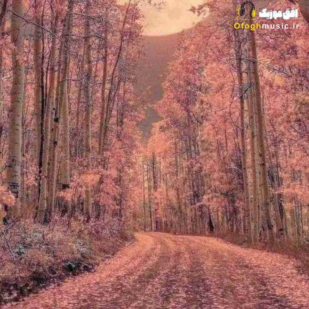  اگه دوسش داری نگو دوسش داری بده پولو ترجیح