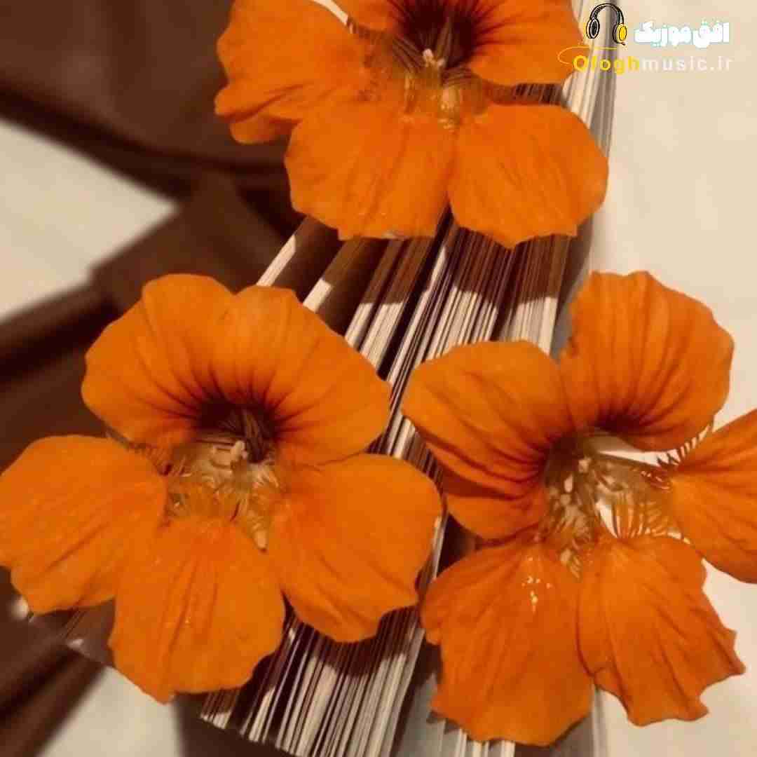  بعد تو حسم به همه فیک وسطش همش میخوام بدم بریک