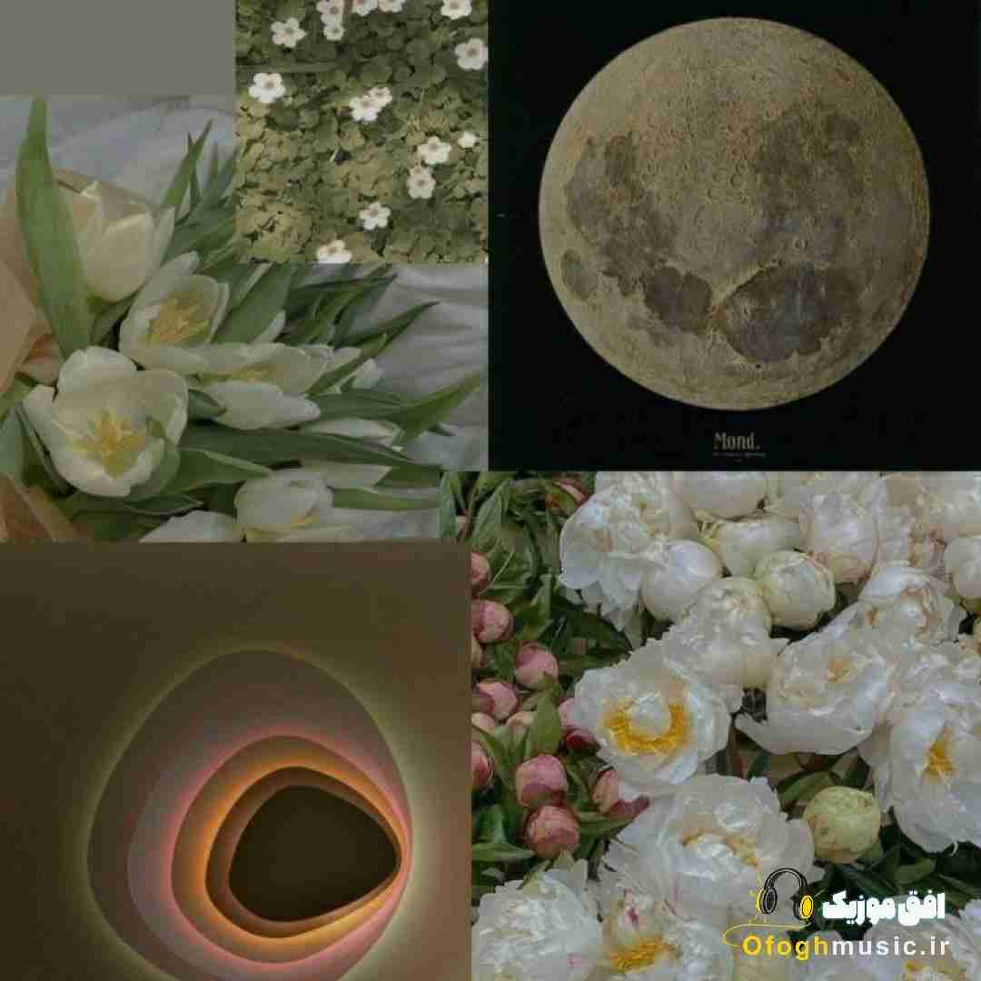 گلمسن گلمه سومسن سومه