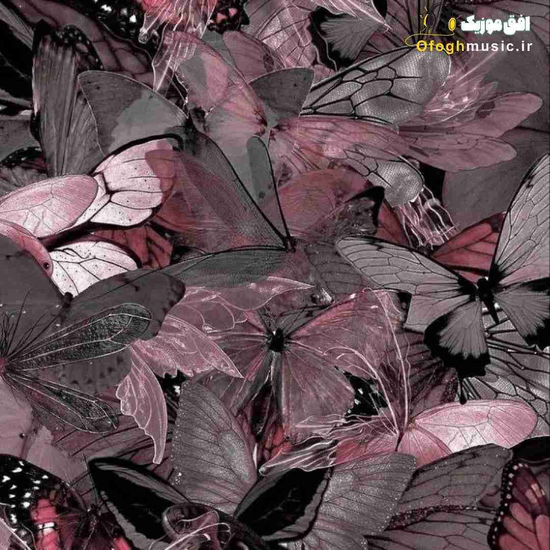 فاطمه رحمانی غریبی
