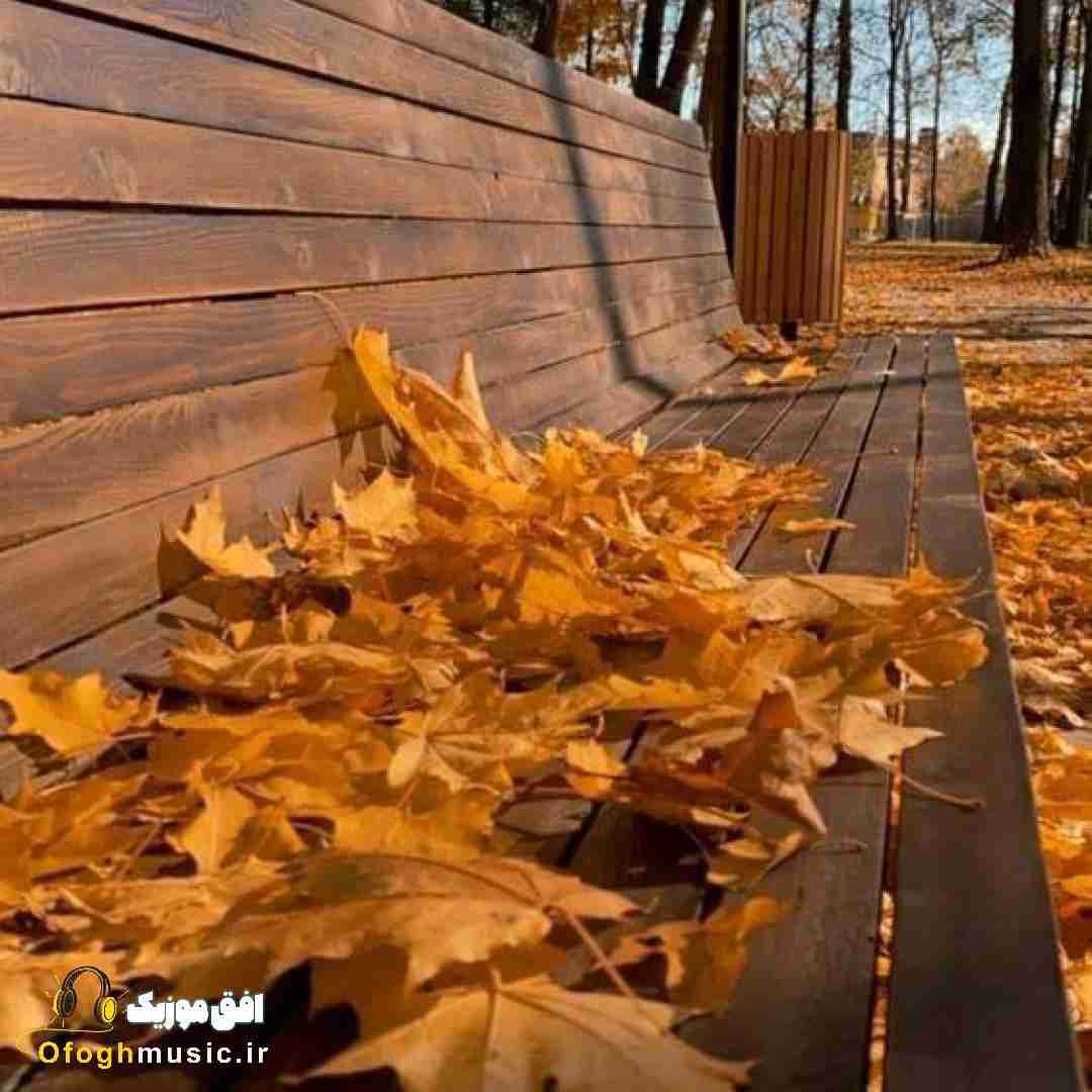 دشی بچه