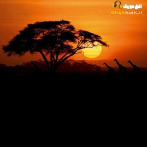 دانلود آهنگ یه نگاه کردی و رفتی ساده تو قلبم