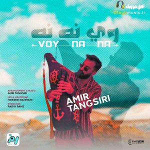 دانلود آهنگ جدید وی نه نه از امیر تنگسیری