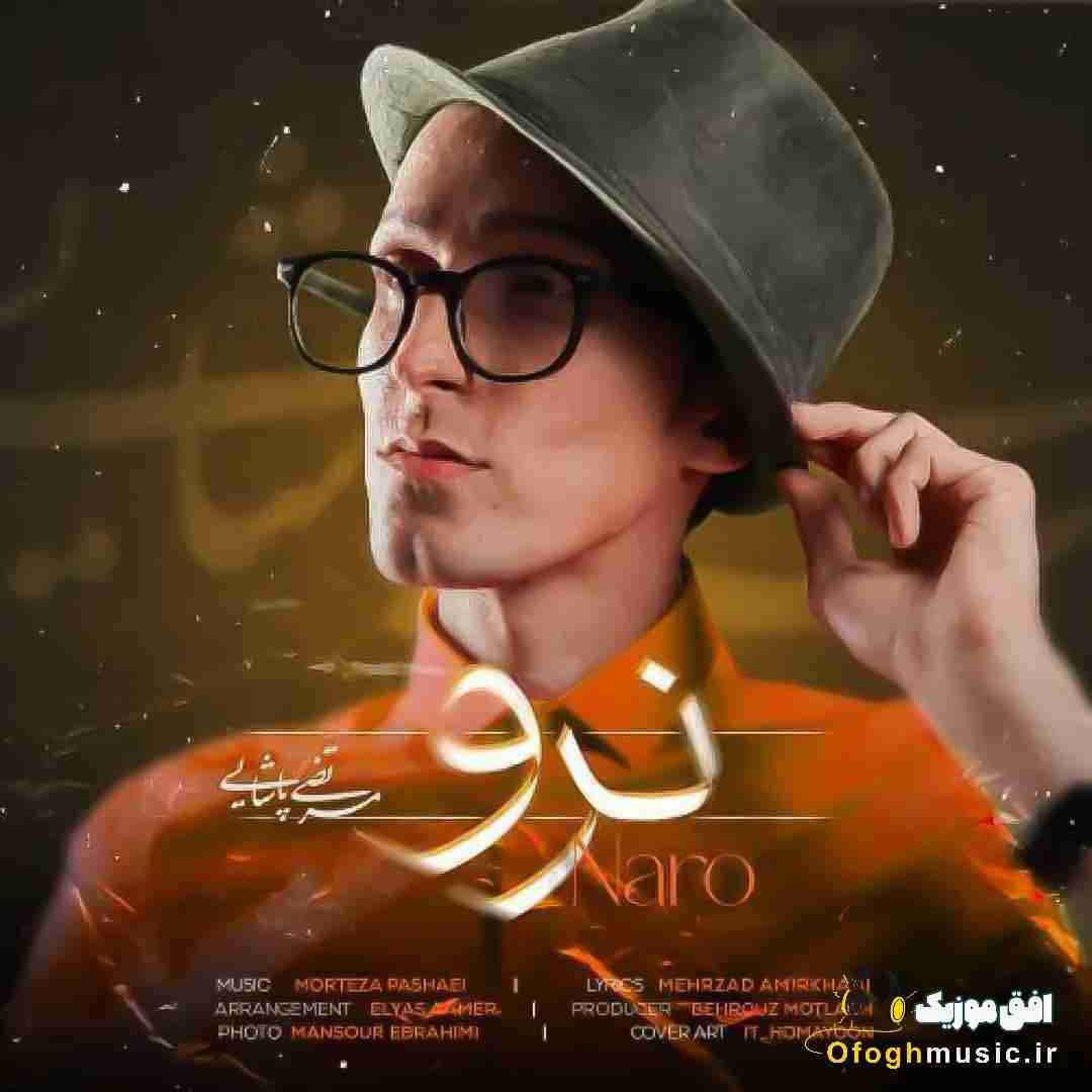 مرتضی پاشایی نرو