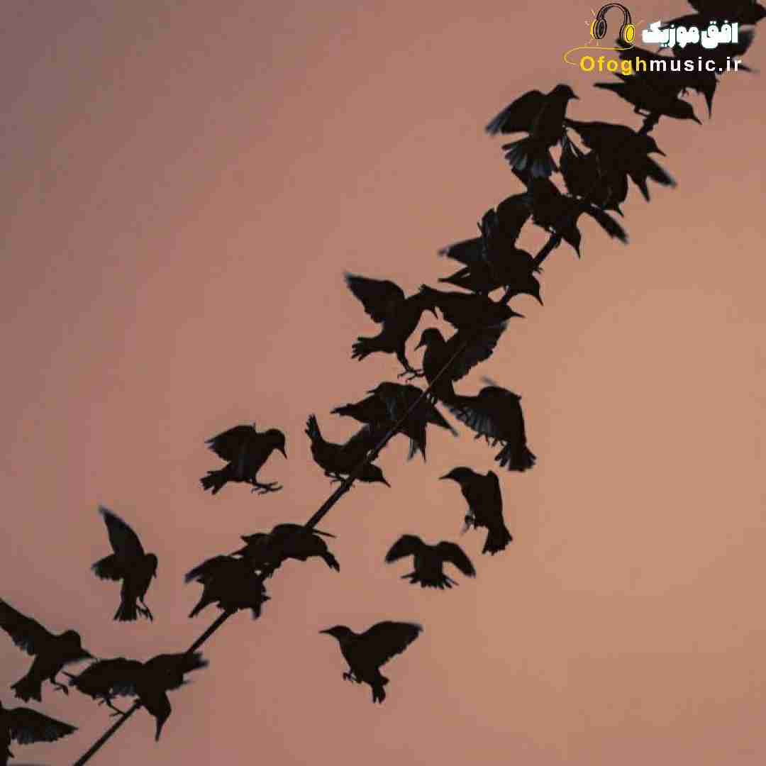 من قلبم شده سنگ برو نزن تو بهم زنگ