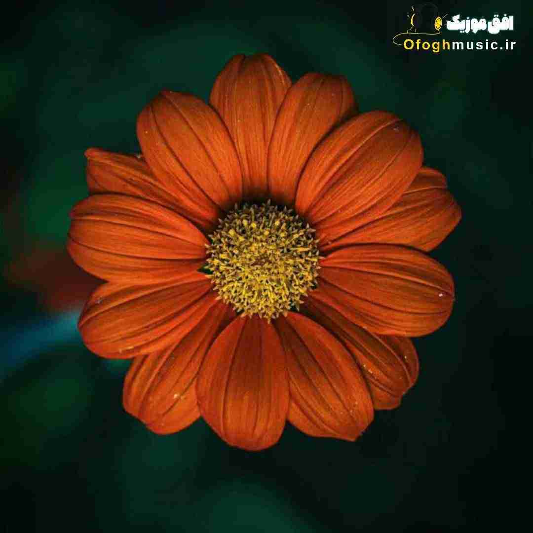 فکر میکردم عشق عجب چرندیه راست میگن