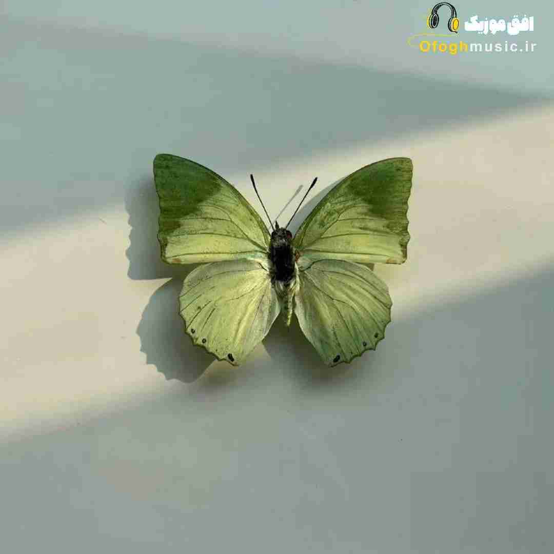  خواهرم مثل همیشه بغلتو وا کن واسم