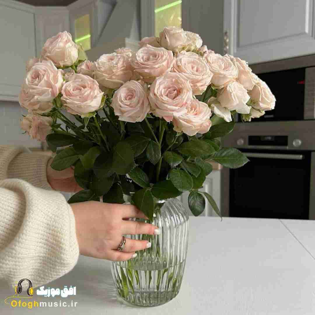 کاش میشد همون اول کات بشه فیلم