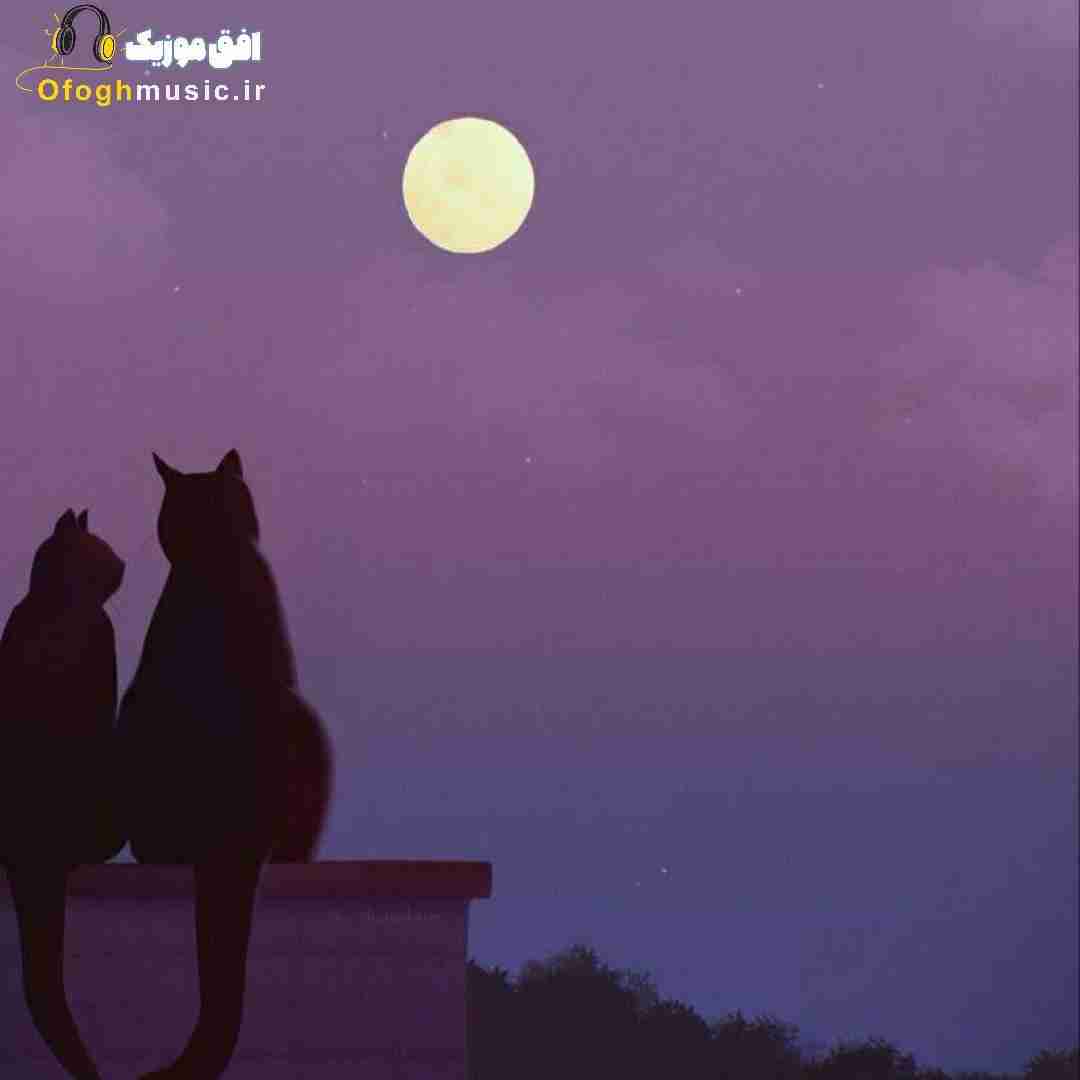  بیارید برانکارد از الان مست تا چهاره بامداد