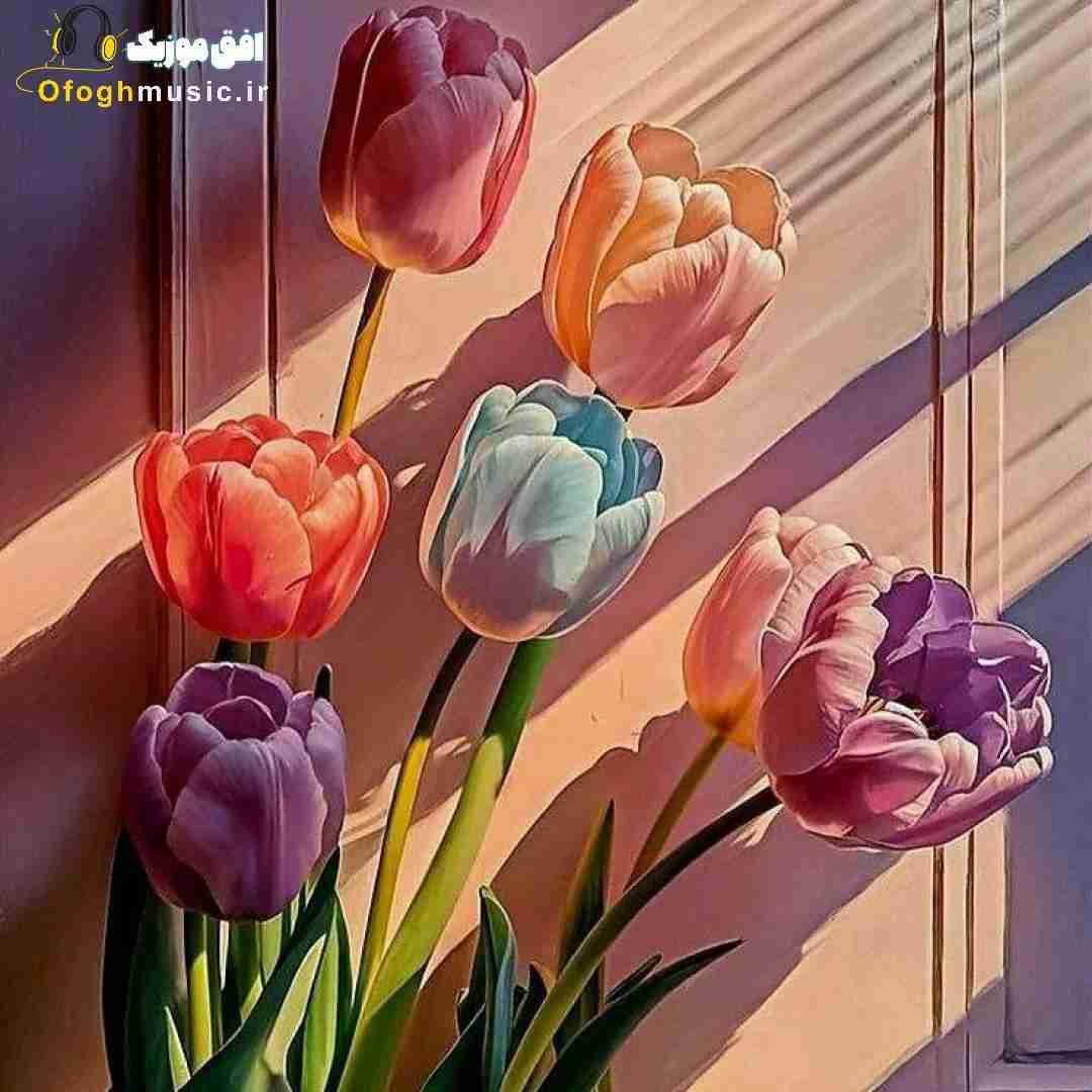 تو درو دیوار هرچی پرت نمیکردم با صدای دختر (میکس فارسی و ترکی)