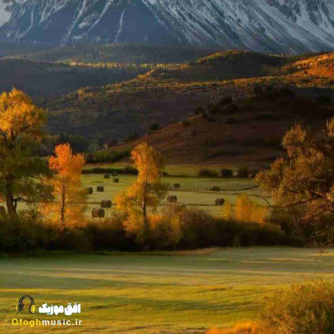 فاطمه عطایی فاطی زاغ مرزی