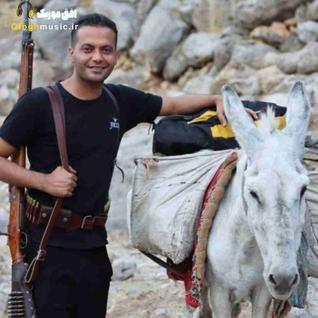 دانیال هوشیاری د نیپامت