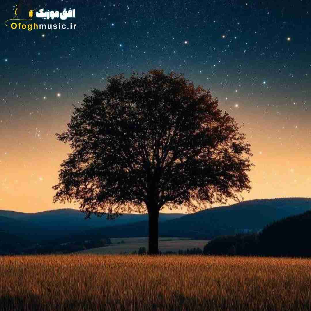 تو خونه فقط جیغ داد و بد بیراه دشمن همیم