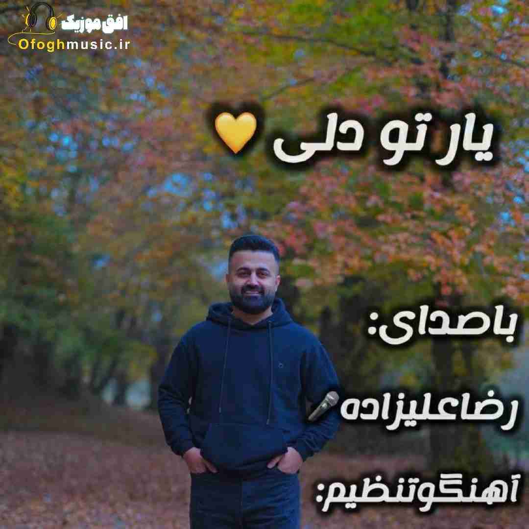 رضا علیزاده یار تو دلی