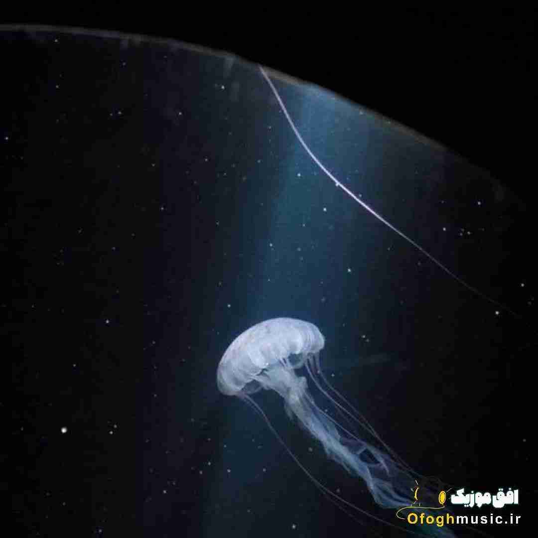  تن کوچه سفیدو تو نیستی هنوز رد پات با صدای دختر