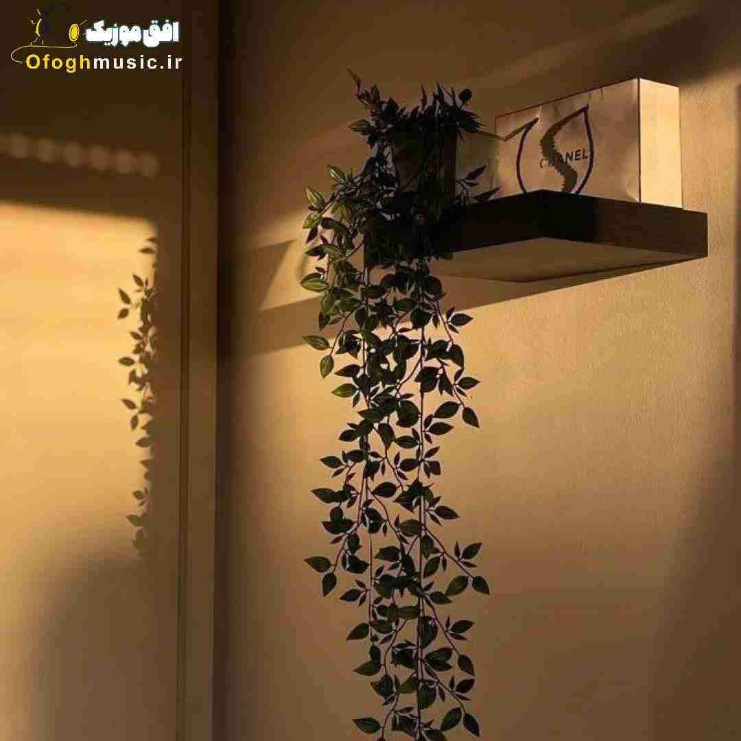  مبارکه وارد شدنت جوش بودی بالغ شدنت