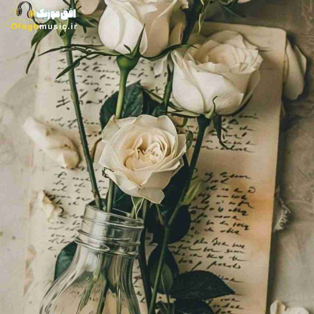  زدم ورود تلویی تا علی الطلوع ولوییم (میکس اینستایی)