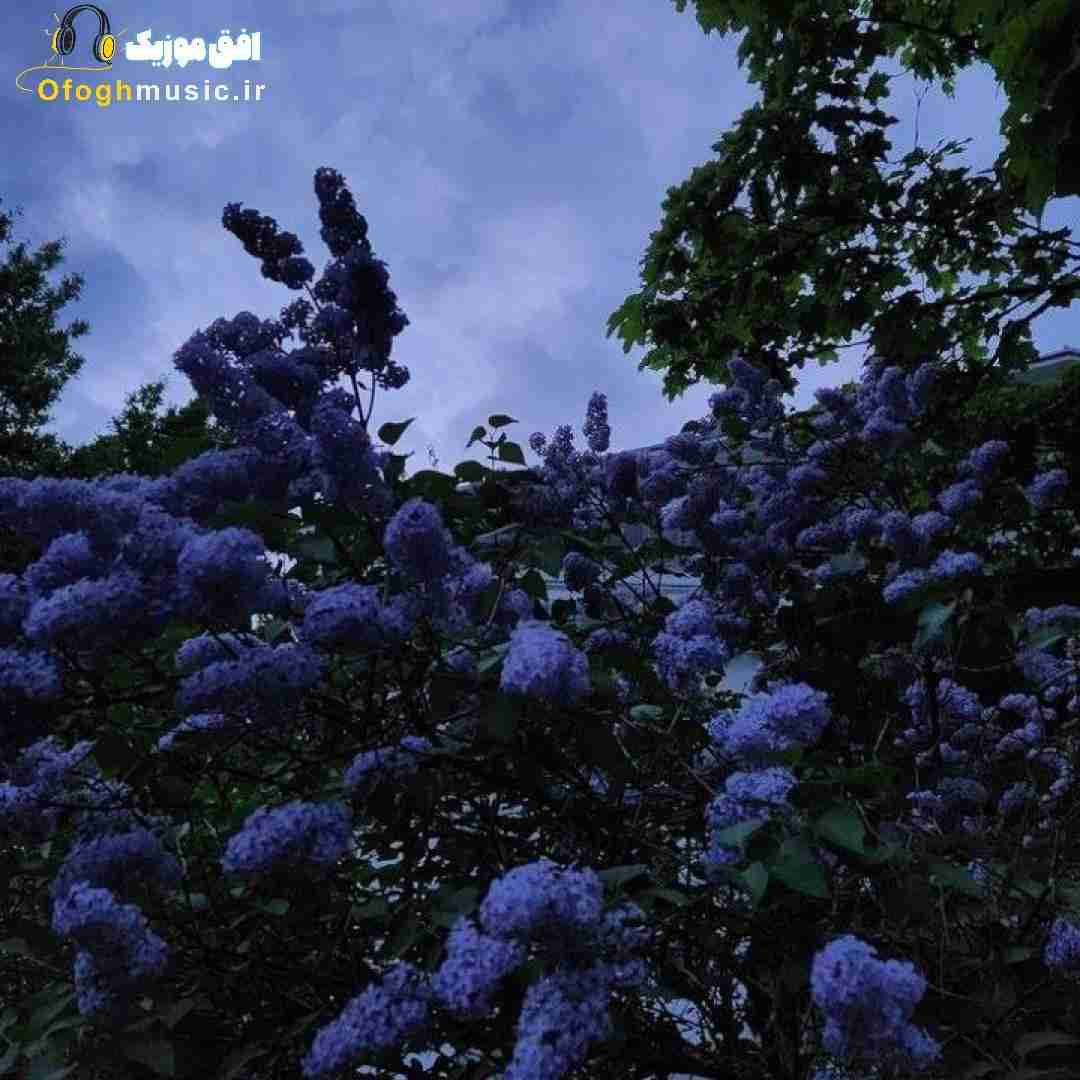  ای کاش تو بازم بکنی قلبمو پیداش دل من یخ زده