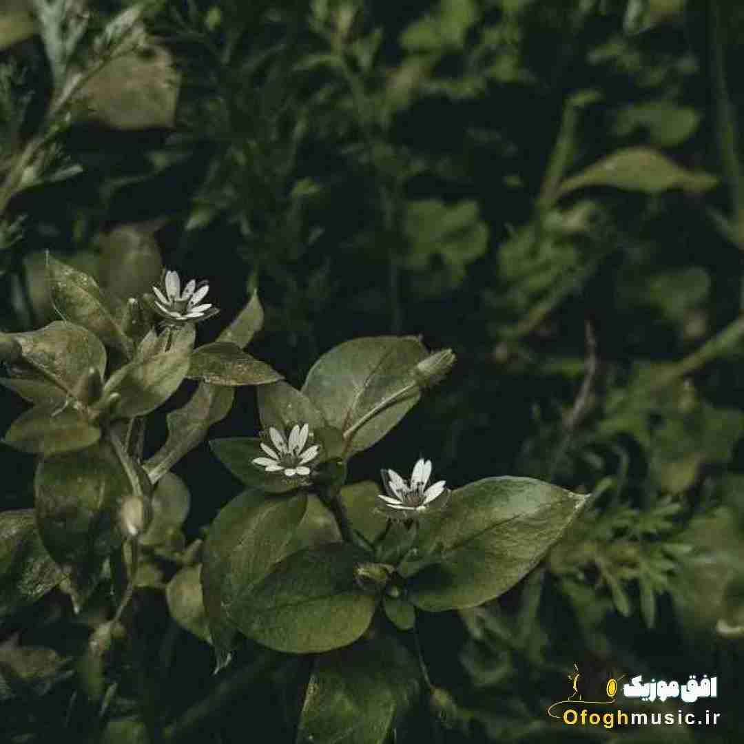 هرچی حساب میکنم حق با منه بازم