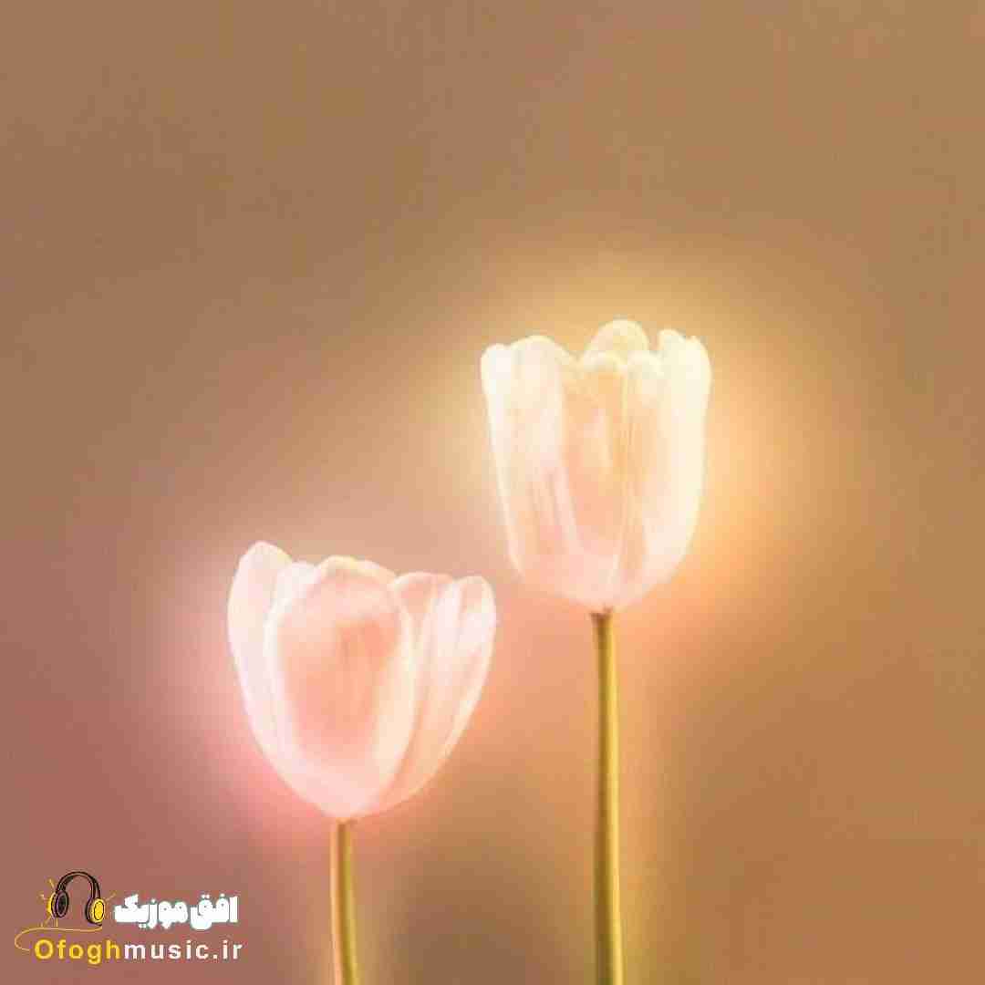دادستان شهرم خواب رئیس جمهور وقتم خواب