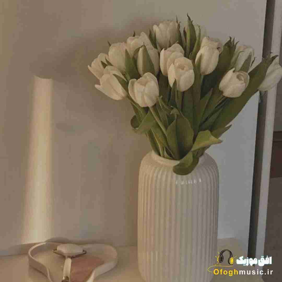 چرا با لاشی بودنت حرصمو درش میاری