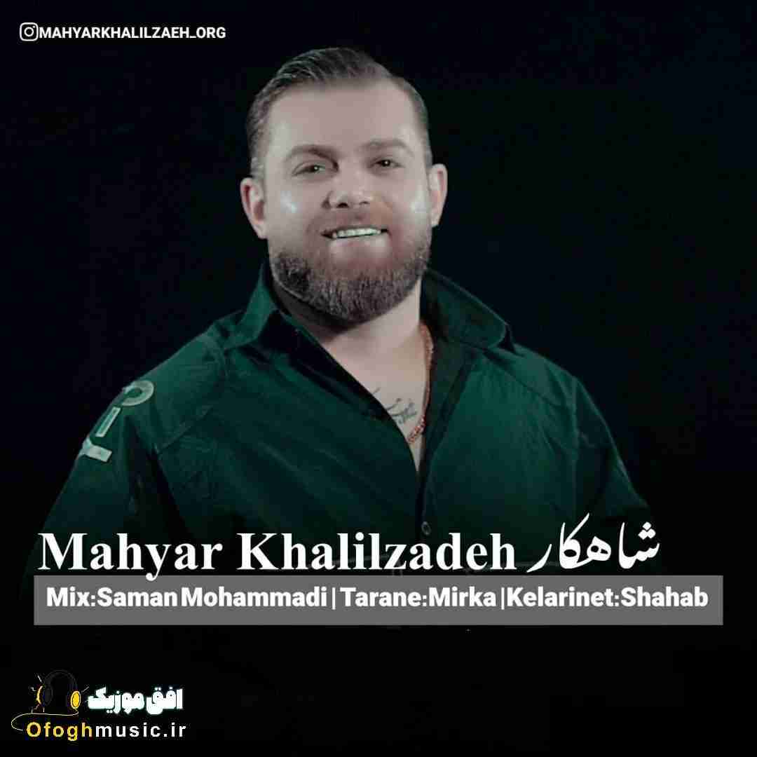 مهیار خلیل زاده شاهکار