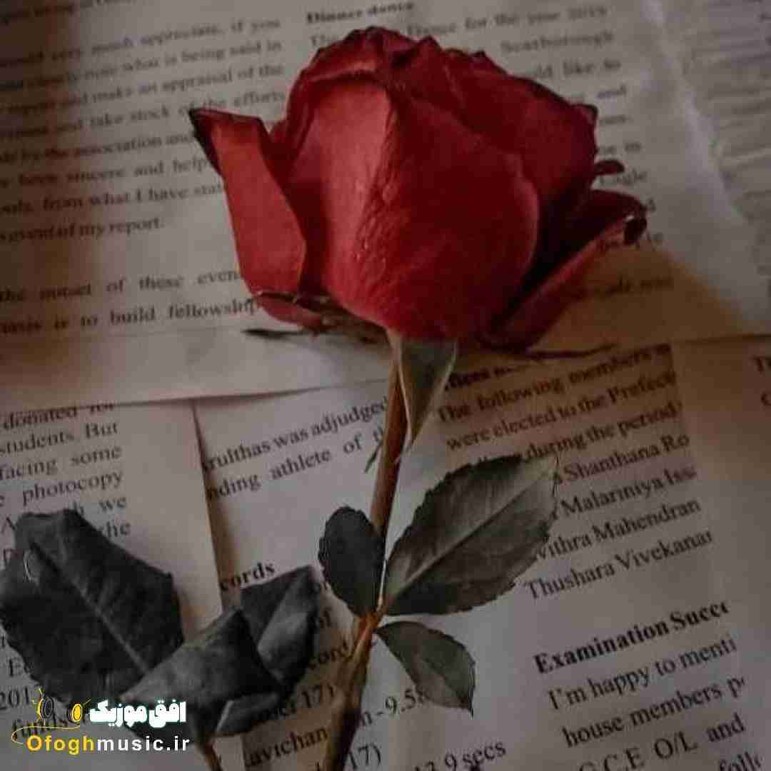 ستایش صادق زاده شب یلدا