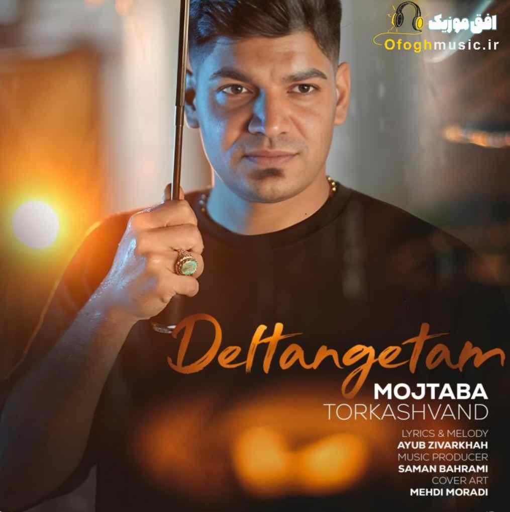 دانلود آهنگ جدید دلتنگتم از مجتبی ترکاشوند
