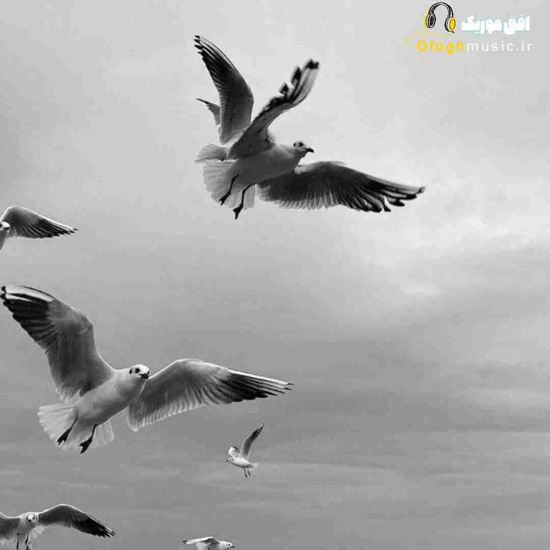  بگو چرا شدیم دور از هم چرا دستات دستامو