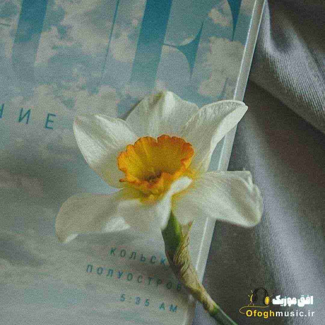  این امپراطوری بازم کلان پیچیده توی کوچه (میکس اینستایی )