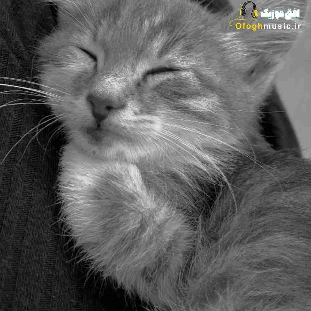  هرکی بود تو راهت بغل کردی تو همه چیزو خودت