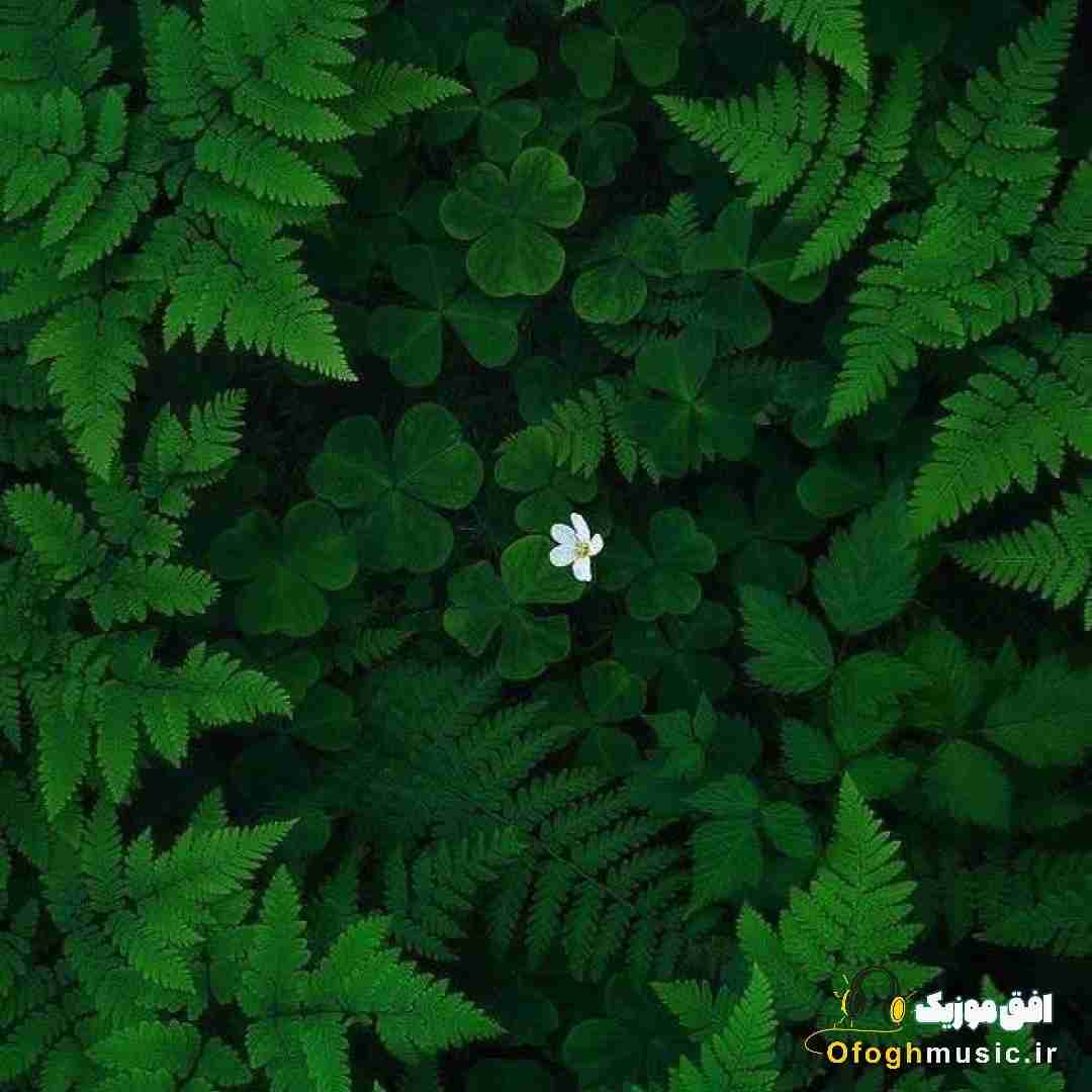 بابا تورو خدا نزن بگم مرگم چیه اگه زندگی اینه