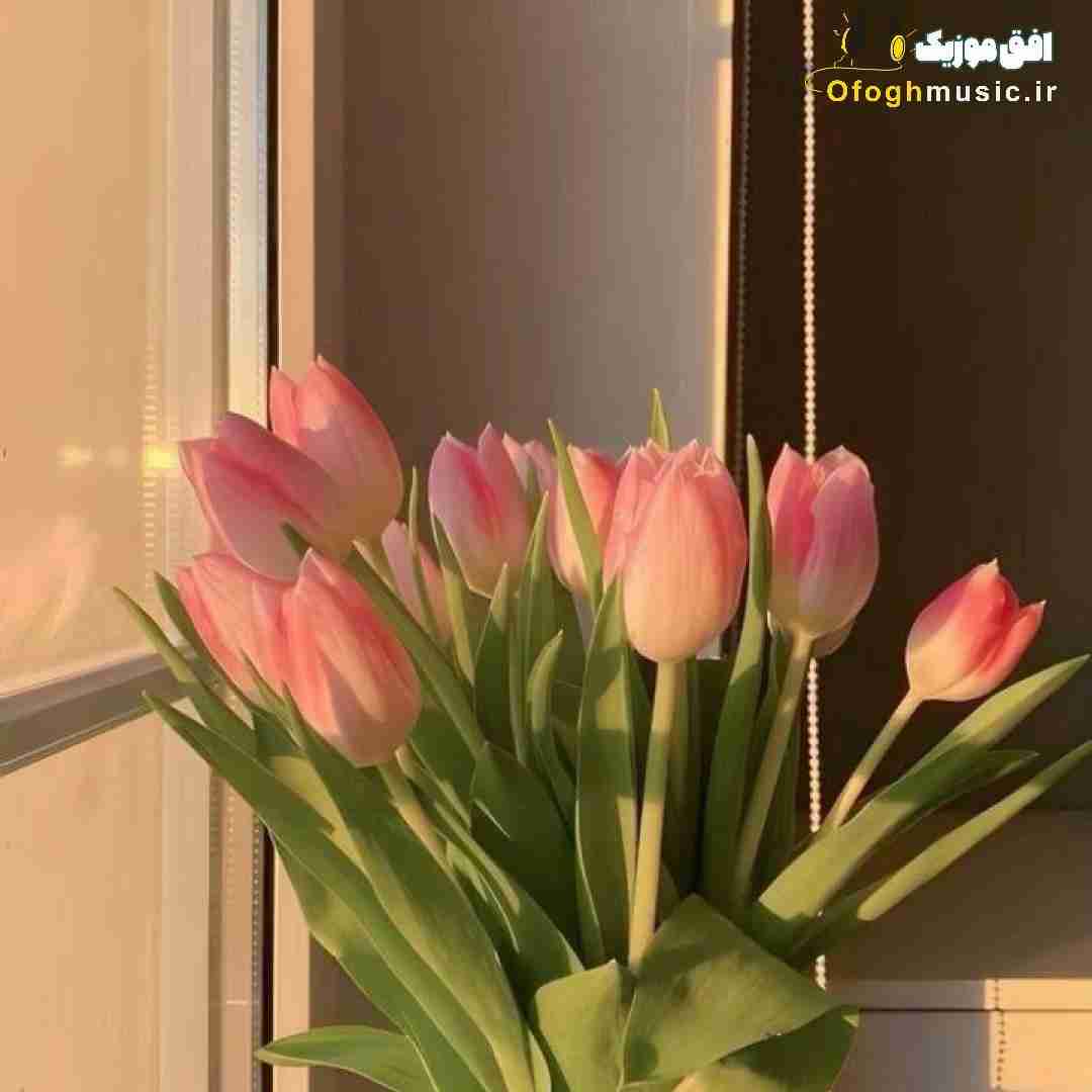 دیگه قبلا مرد حالا میس بنداز تکست بده دستم خورد