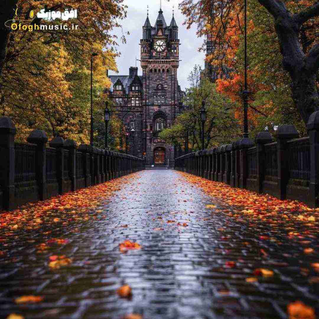  شبا میپرم از خواب به یادت آرزوم شده