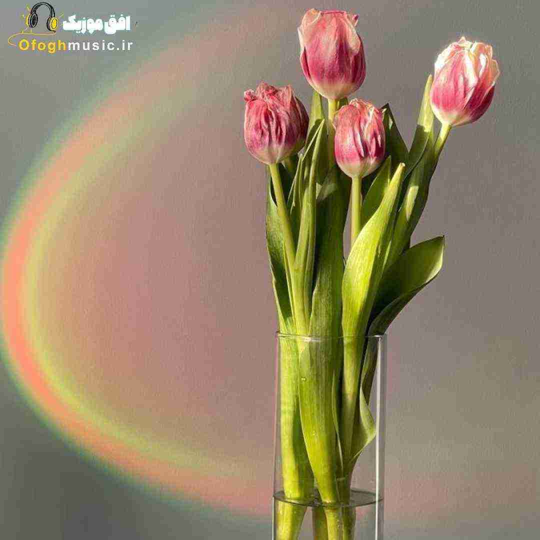 گفتم حرف نزنم باهات شاید بهتر بذارم یه چند روزی بگذره