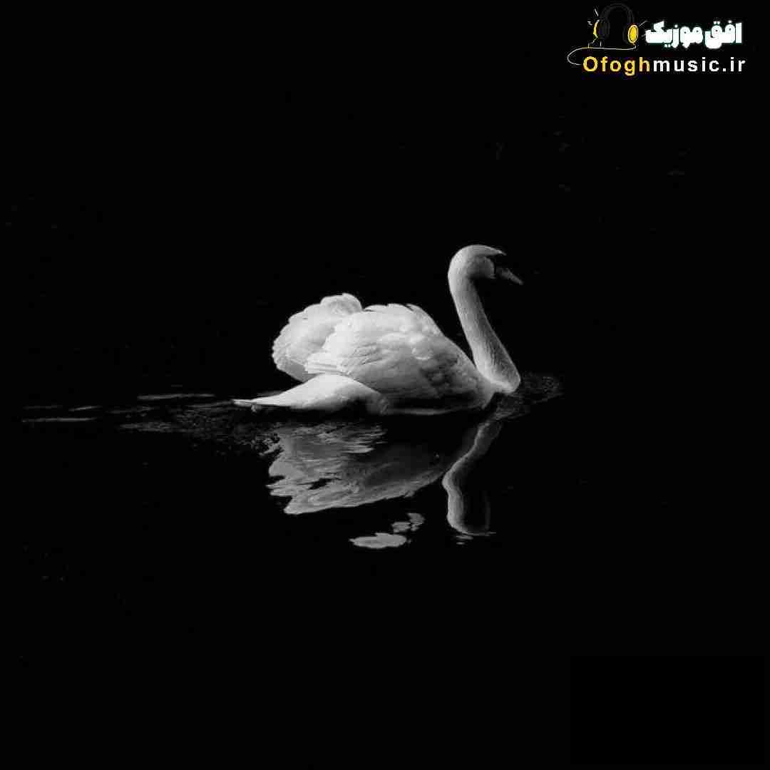  ولی به برگشتن نکن فکرشم من تهش از دست بدم