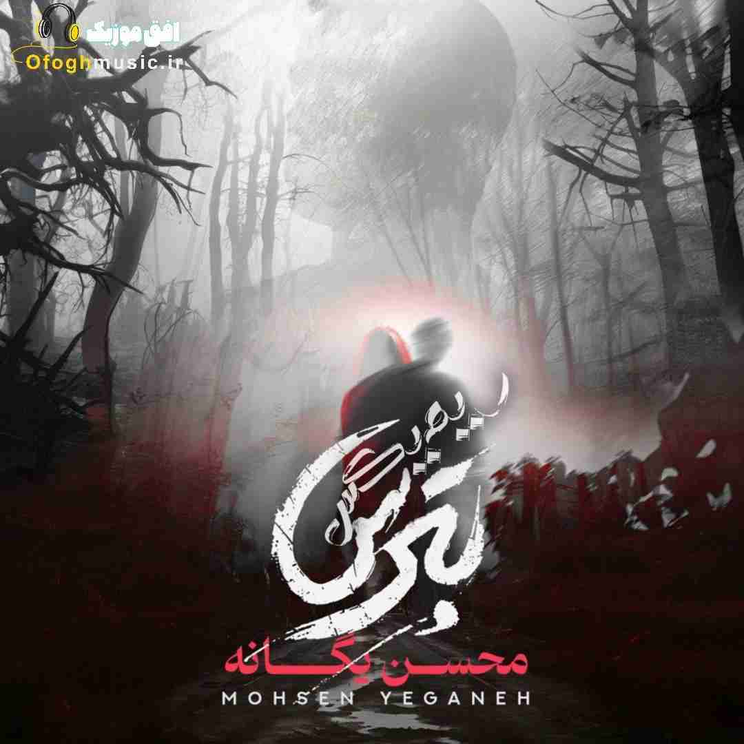 محسن یگانه بترس