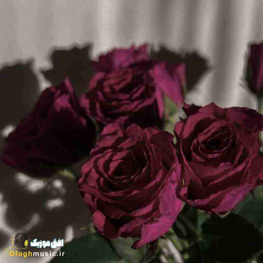  لباسای تنم تسبیح دستم دور موی سرم هنوزم ترنده (میکس اینستایی)