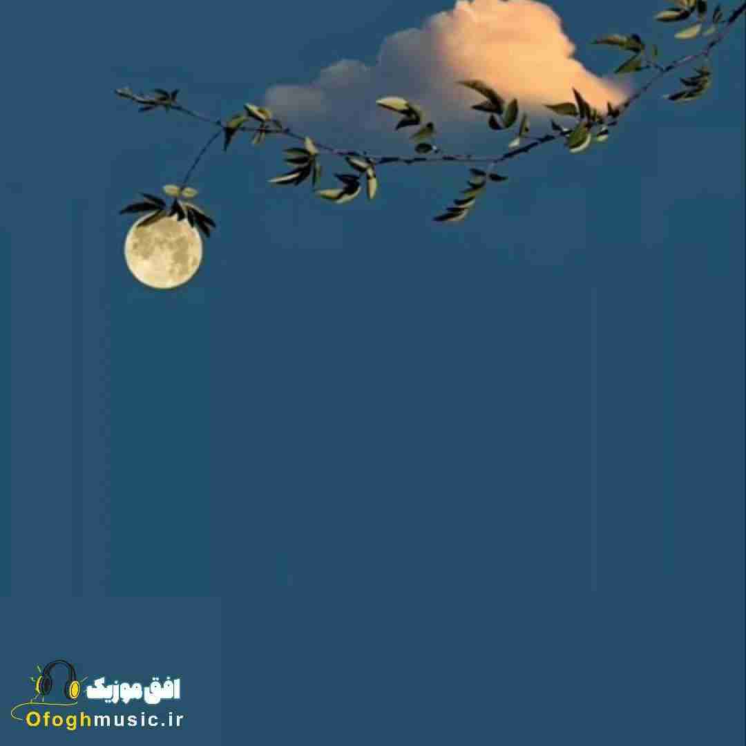  زدتت زیر چشات کبود کاش میتونستم بگیرم